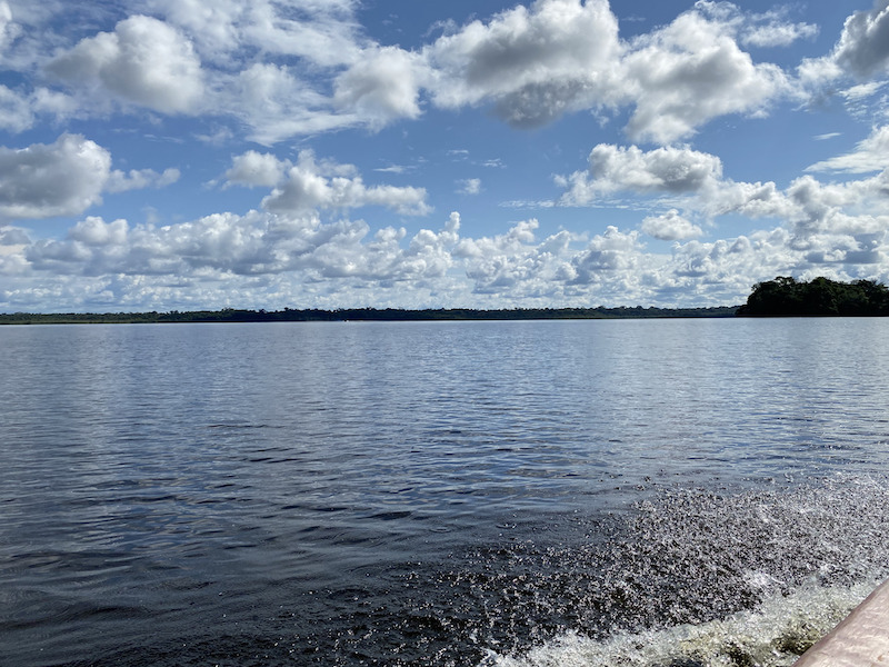 Zancudococha Lake stretches under a blue sky in Ecuador.