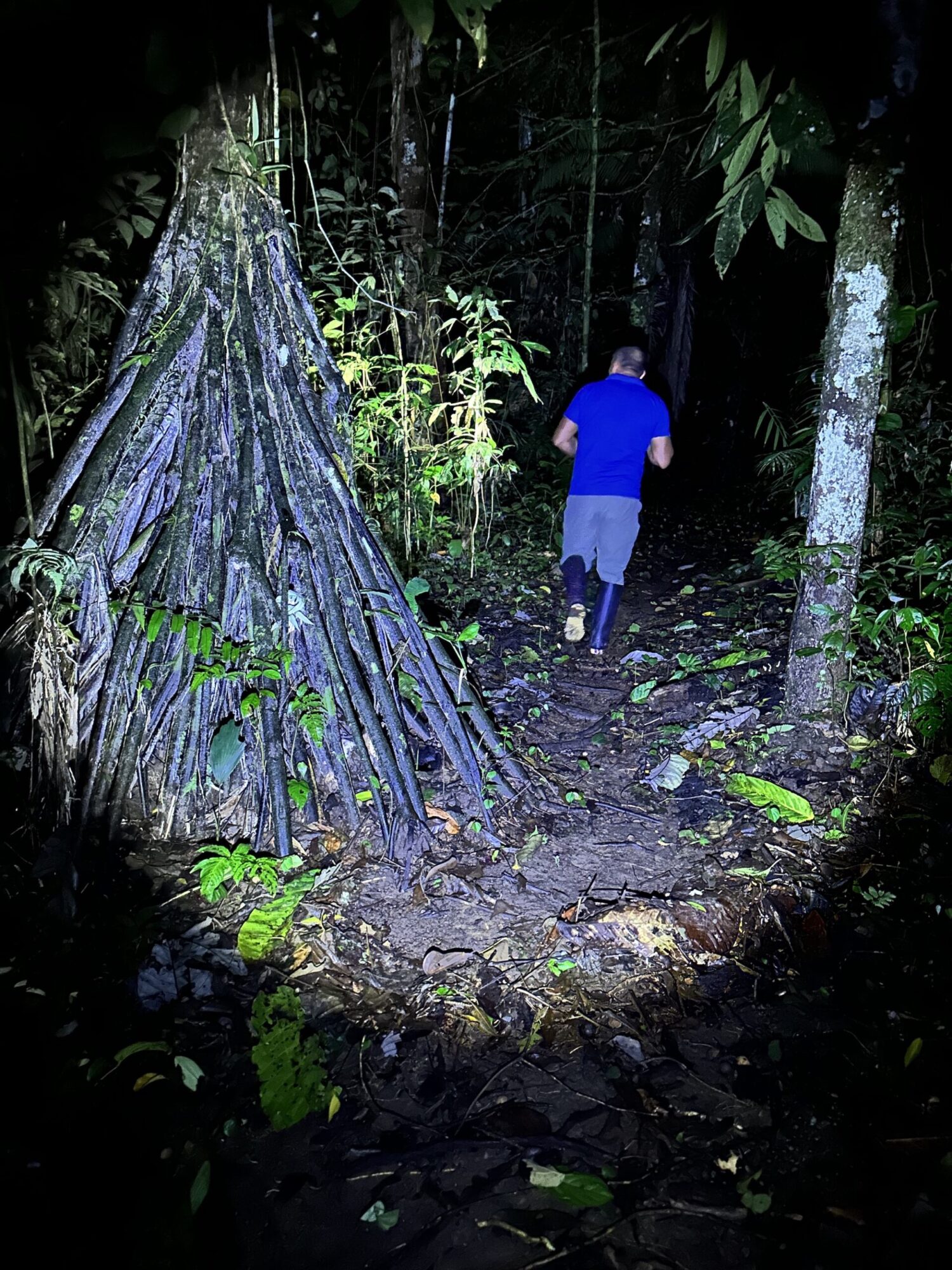 A man in Ecuador walks in the forest at night.