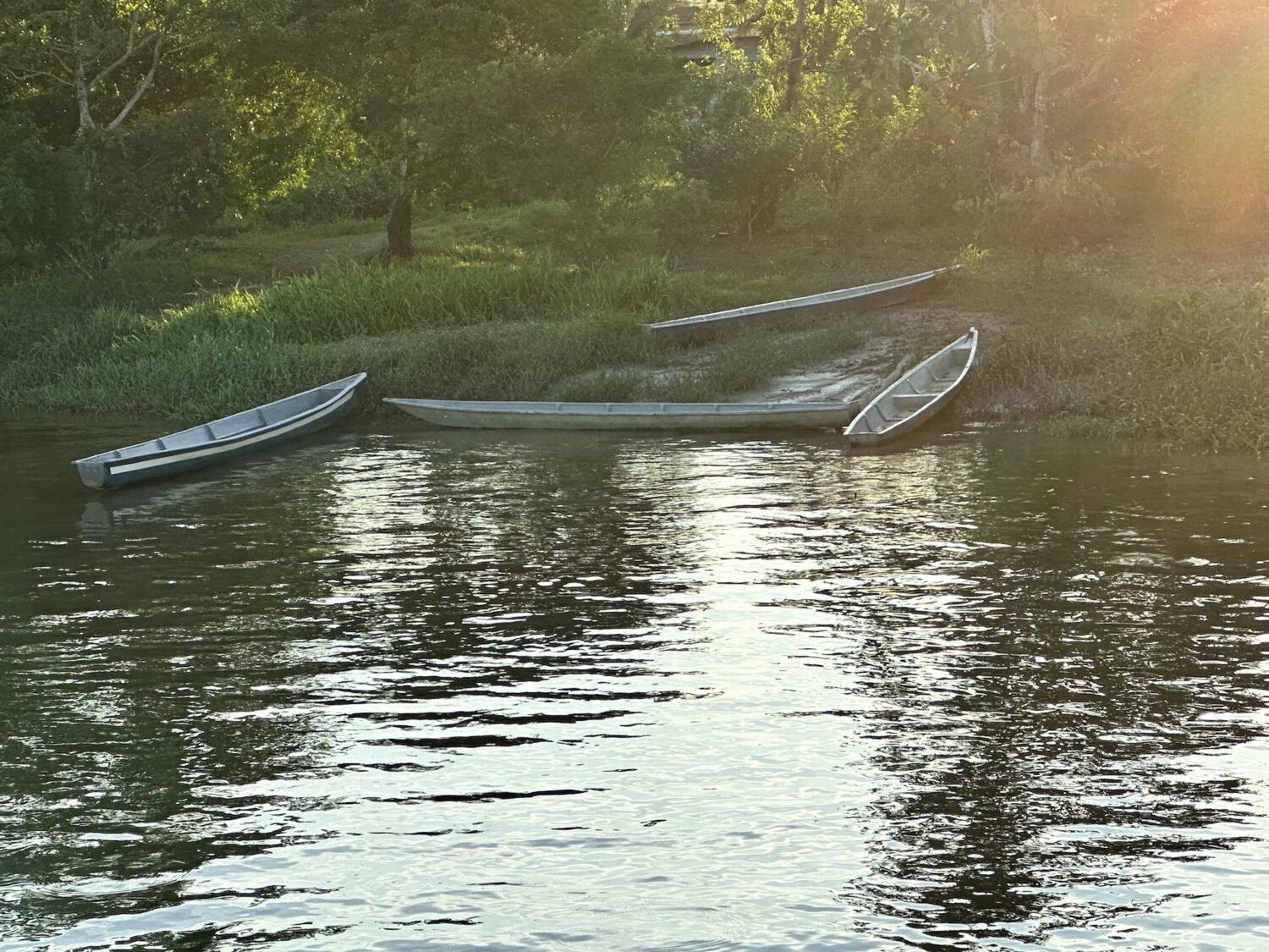 Canoes on the banks of a body of water in the Amazon rainforest.