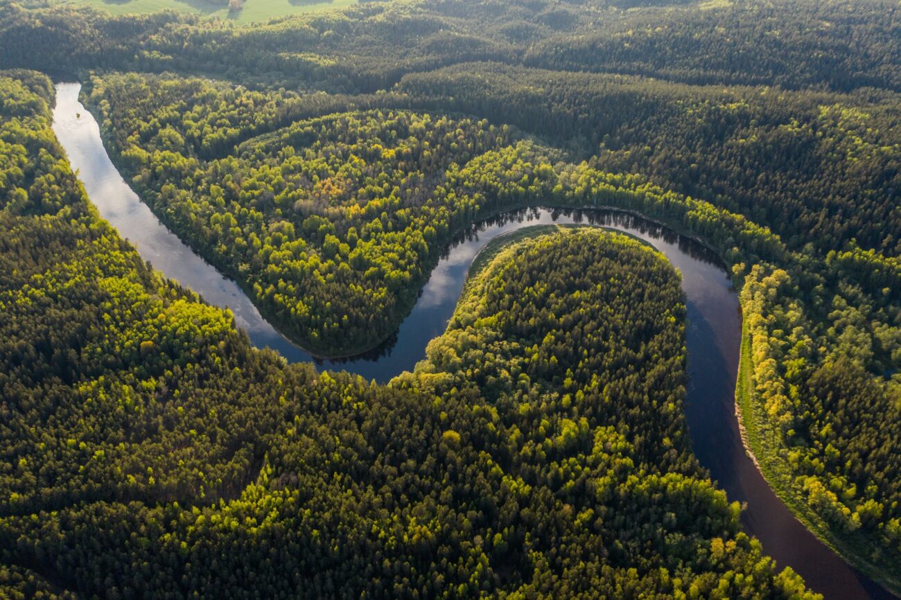 An aerial view of a river snaking through trees in the Amazon rainforest.