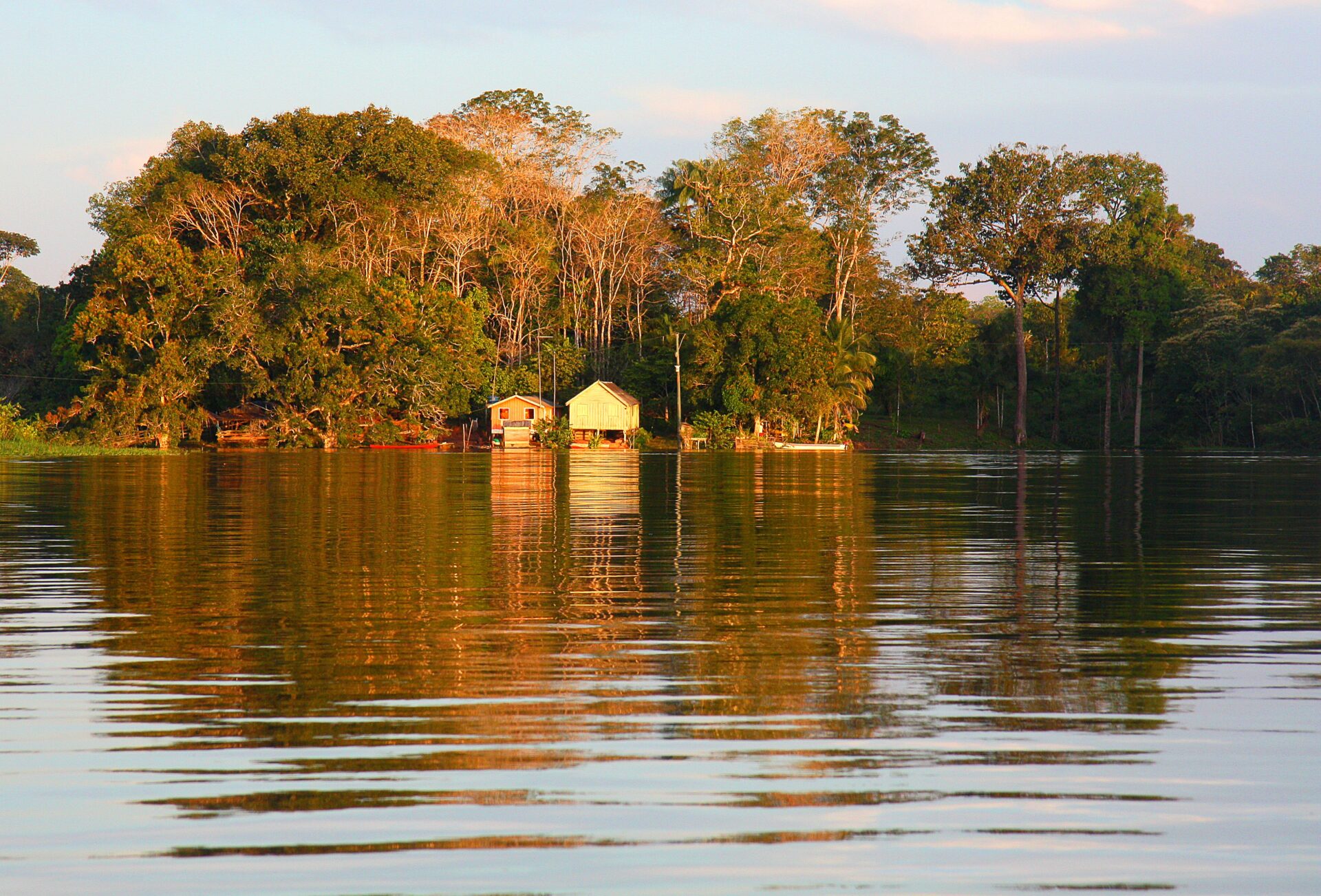 Houses on the bank of a body of water in the Amazon rainforest in Ecuador.