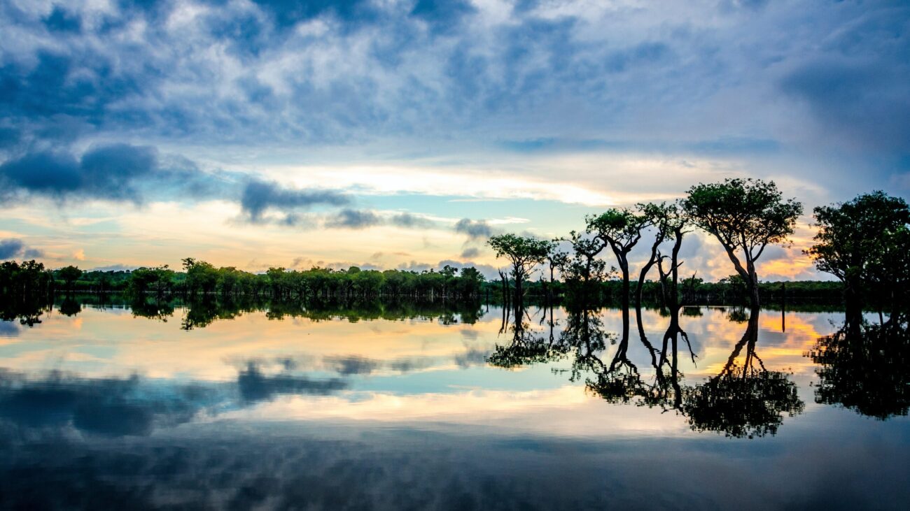 Body of water, tree line, and sky